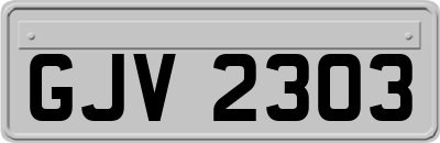 GJV2303