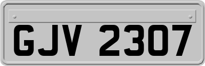 GJV2307