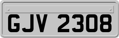 GJV2308