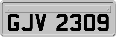GJV2309