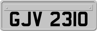 GJV2310