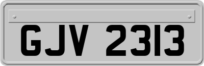GJV2313