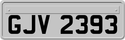 GJV2393