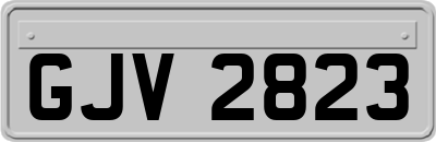 GJV2823