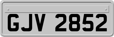 GJV2852