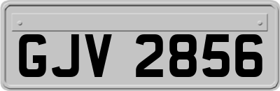 GJV2856