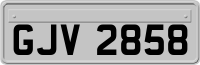 GJV2858