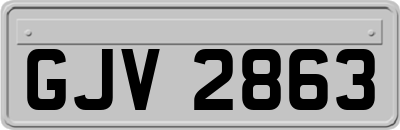 GJV2863