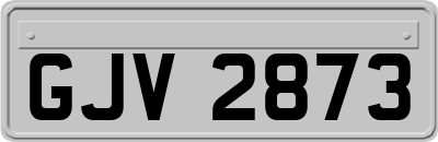GJV2873