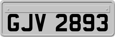 GJV2893