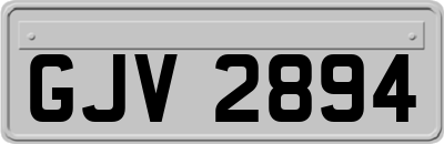 GJV2894