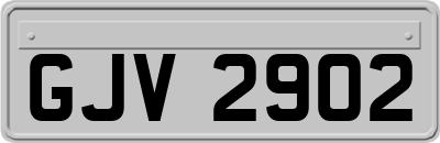 GJV2902