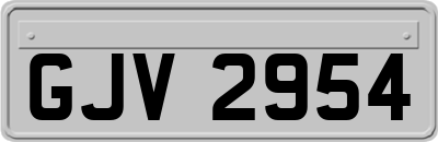 GJV2954
