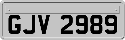 GJV2989