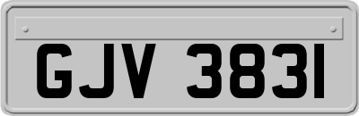 GJV3831