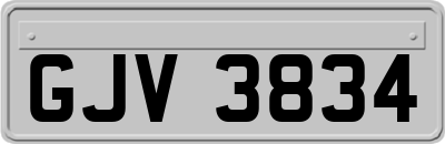GJV3834