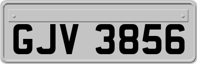 GJV3856