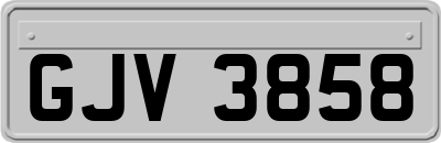 GJV3858