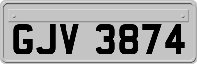 GJV3874