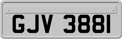 GJV3881