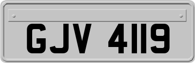 GJV4119