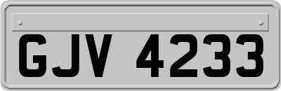GJV4233