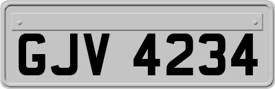 GJV4234