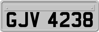 GJV4238
