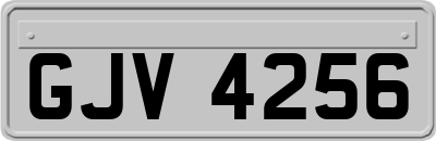 GJV4256