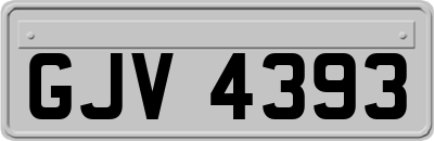 GJV4393