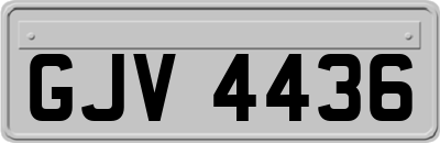 GJV4436