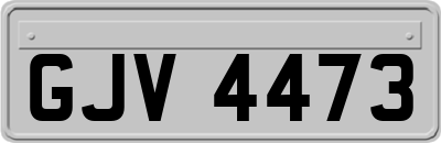 GJV4473