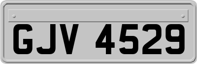 GJV4529