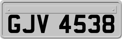 GJV4538