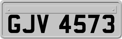 GJV4573