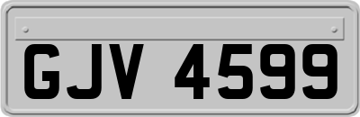 GJV4599