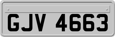 GJV4663