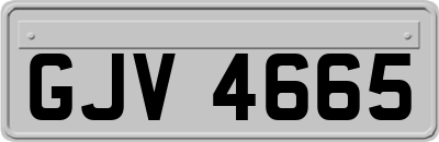 GJV4665