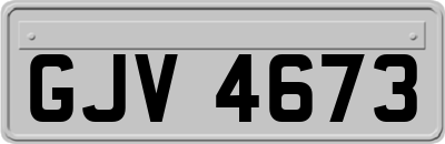 GJV4673