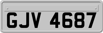 GJV4687