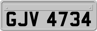 GJV4734