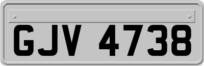 GJV4738