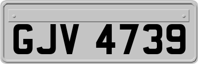 GJV4739
