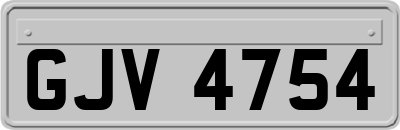 GJV4754