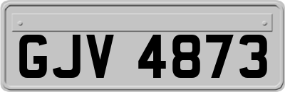 GJV4873