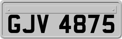GJV4875