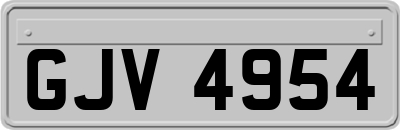 GJV4954