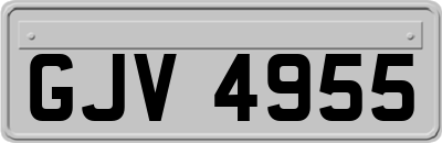 GJV4955
