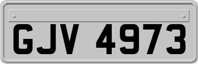 GJV4973