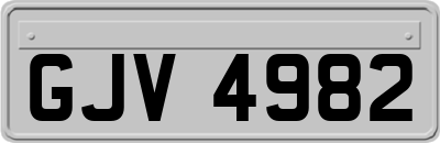 GJV4982